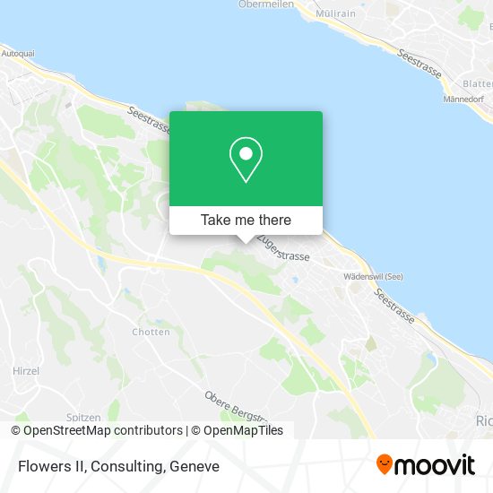 Flowers II, Consulting map