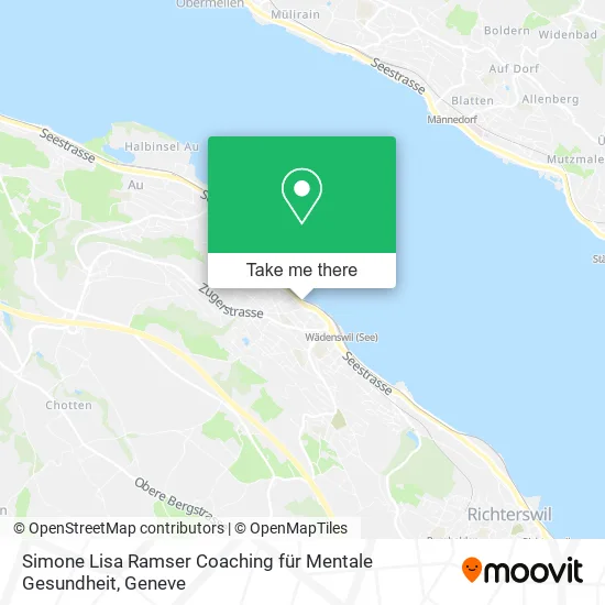 Simone Lisa Ramser Coaching für Mentale Gesundheit plan