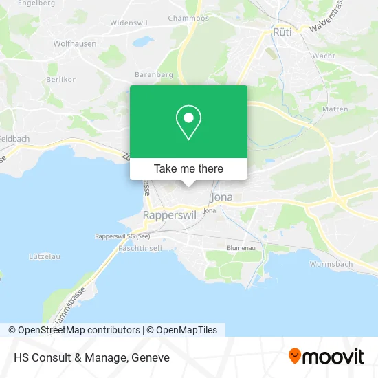 HS Consult & Manage map