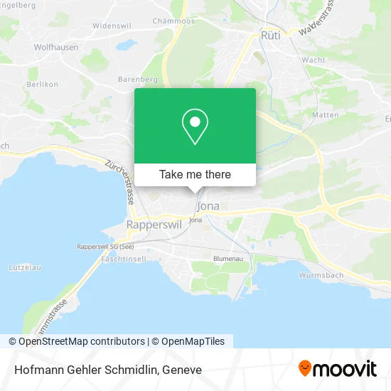 Hofmann Gehler Schmidlin map