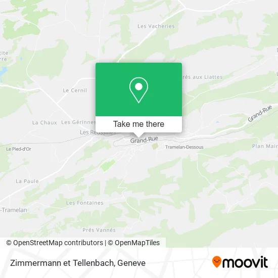 Zimmermann et Tellenbach plan