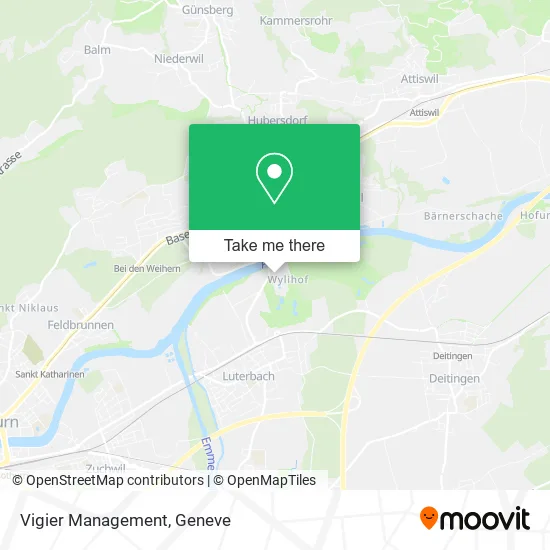 Vigier Management plan