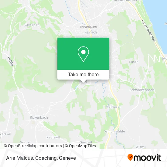 Arie Malcus, Coaching map