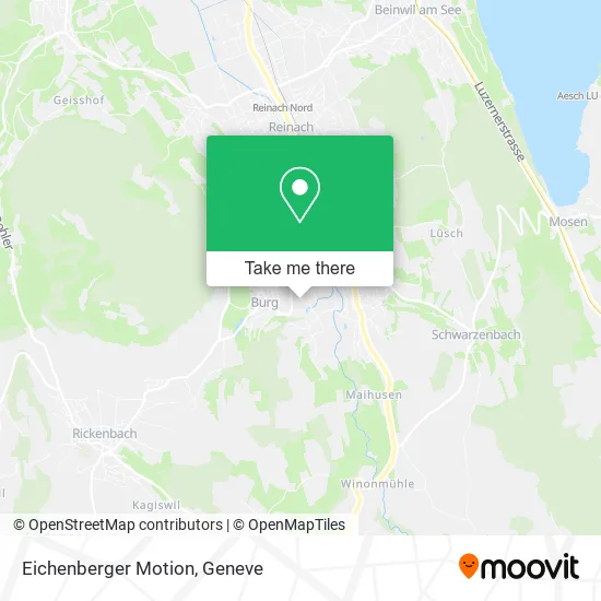 Eichenberger Motion map