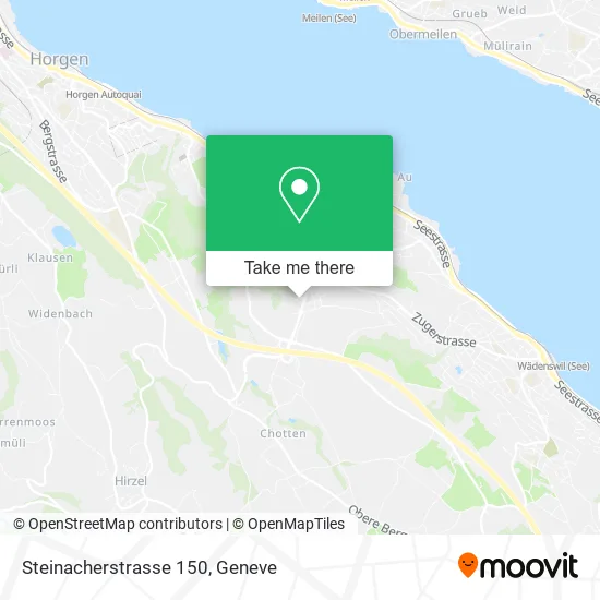Steinacherstrasse 150 map