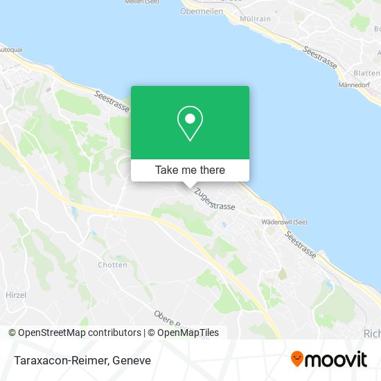 Taraxacon-Reimer map