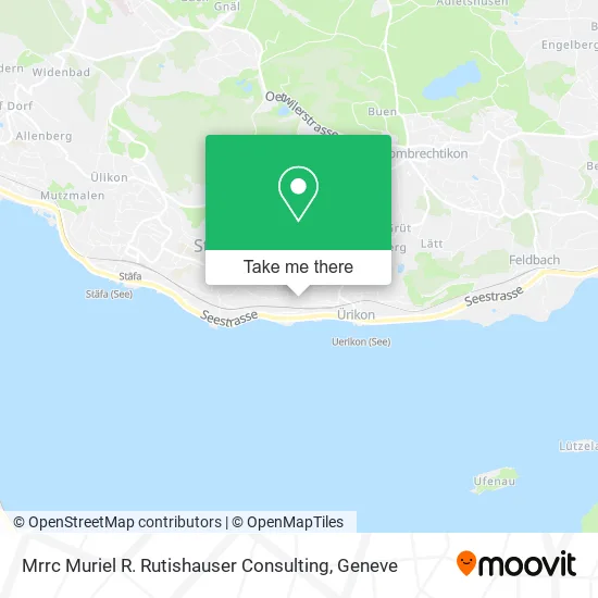 Mrrc Muriel R. Rutishauser Consulting map