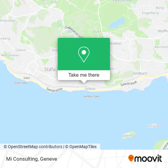 Mi Consulting map