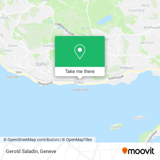 Gerold Saladin map