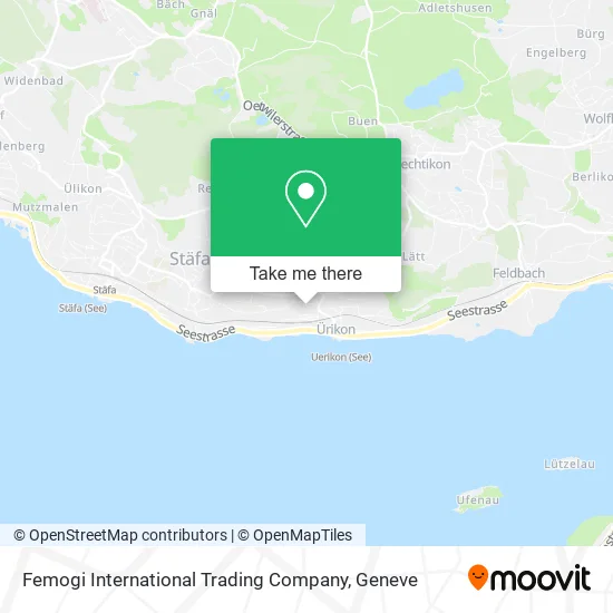 Femogi International Trading Company map
