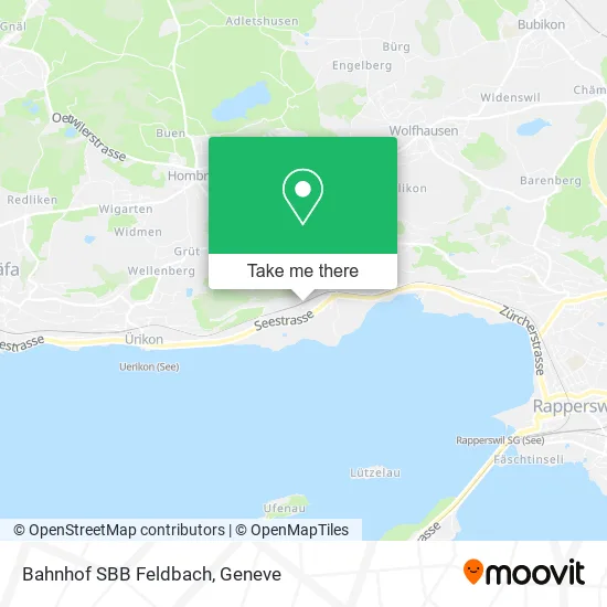 Bahnhof SBB Feldbach map