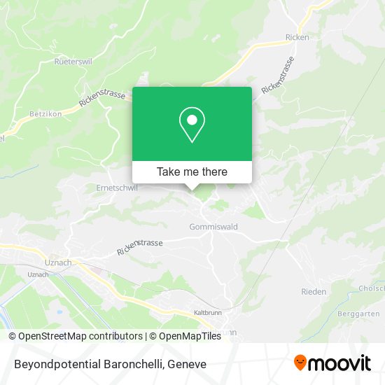 Beyondpotential Baronchelli map