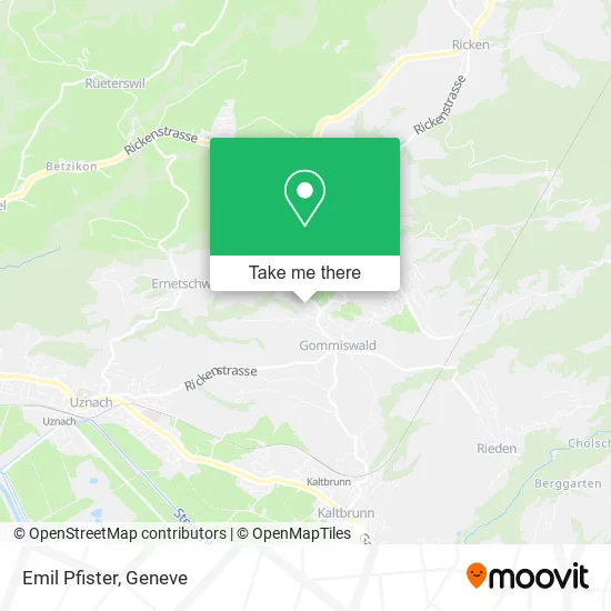 Emil Pfister map