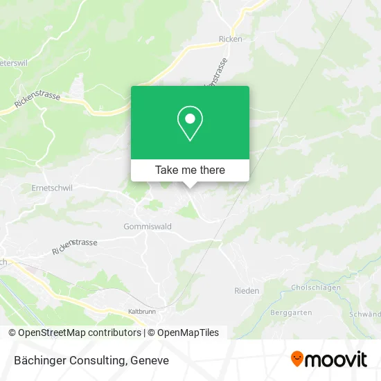 Bächinger Consulting plan