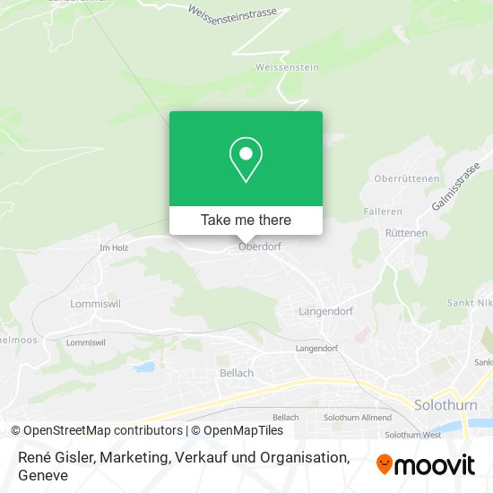 René Gisler, Marketing, Verkauf und Organisation map