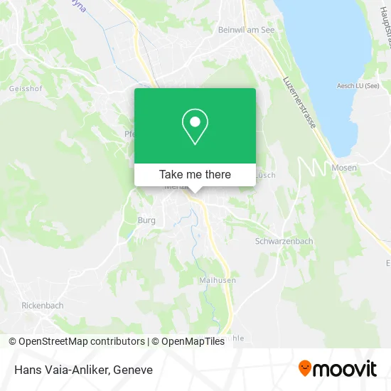 Hans Vaia-Anliker map