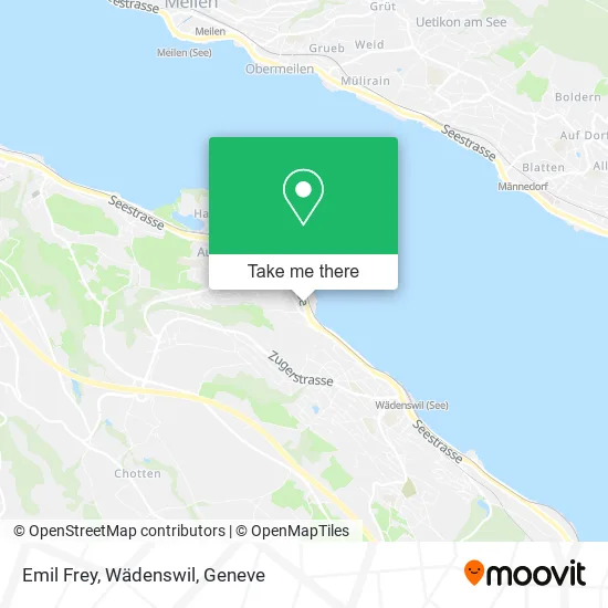 Emil Frey, Wädenswil map