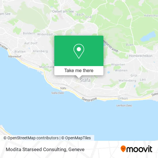 Modita Starseed Consulting plan