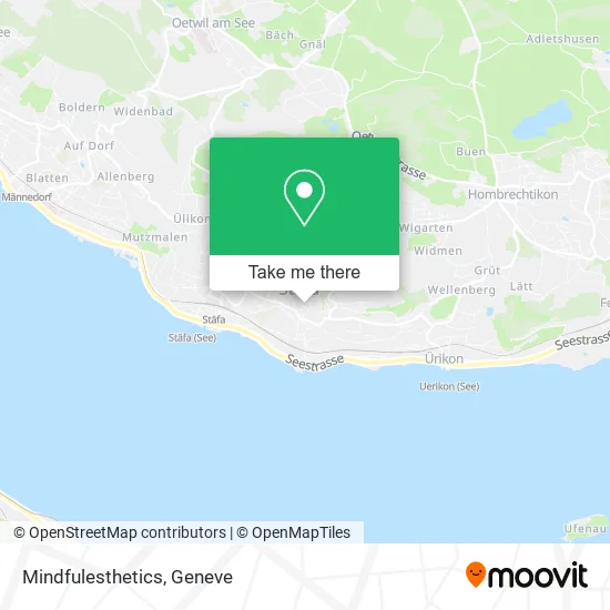 Mindfulesthetics map