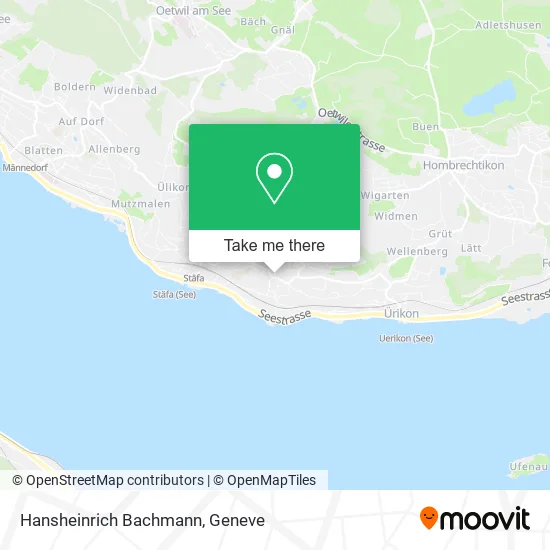 Hansheinrich Bachmann map