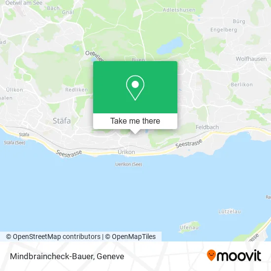 Mindbraincheck-Bauer map