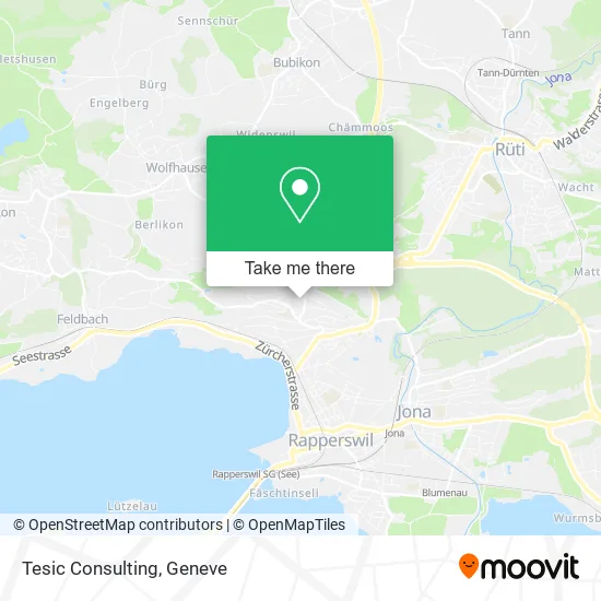 Tesic Consulting map