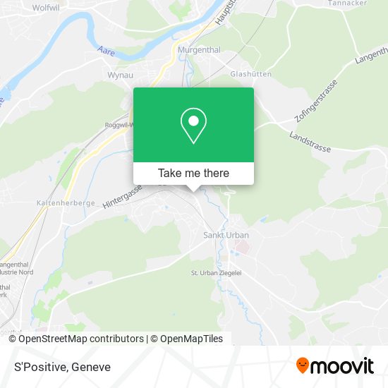 S'Positive map