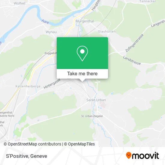 S'Positive map