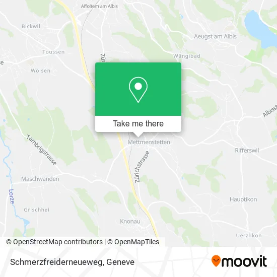 Schmerzfreiderneueweg map