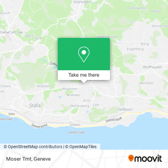 Moser Tmt map