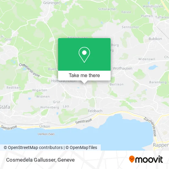 Cosmedela Gallusser map