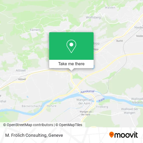 M. Frölich Consulting plan