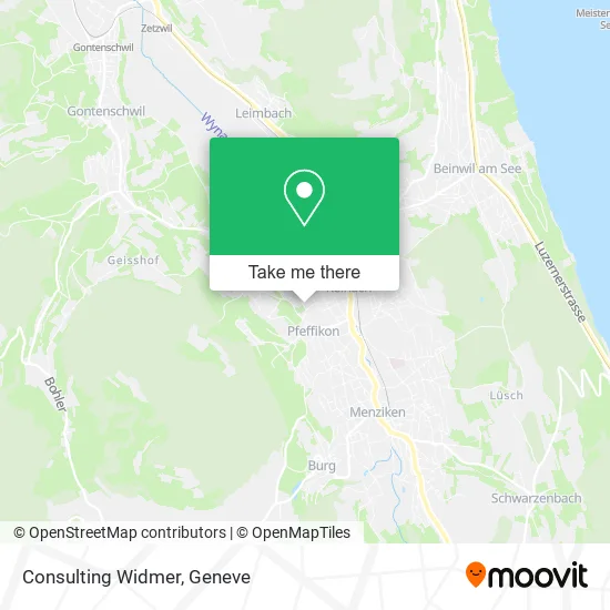 Consulting Widmer map