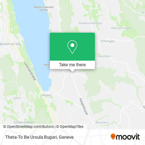 Theta-To Be Ursula Bugari plan