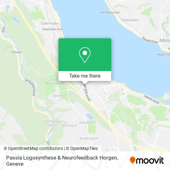 Passia Logosynthese & Neurofeedback Horgen map