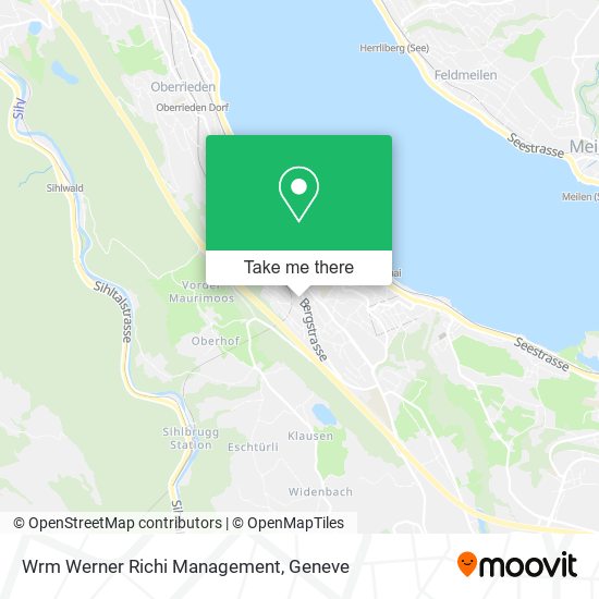 Wrm Werner Richi Management map