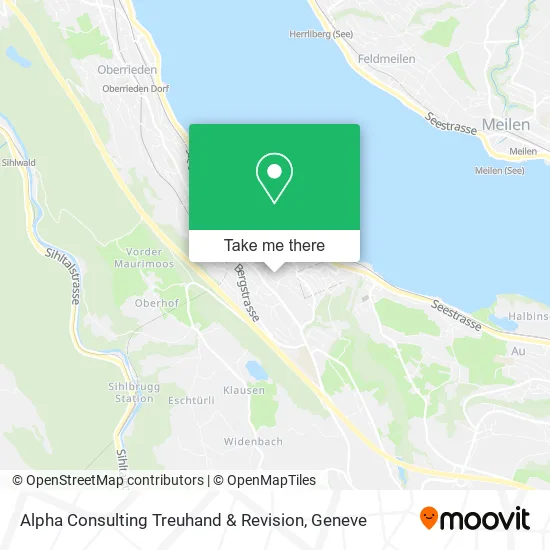 Alpha Consulting Treuhand & Revision plan