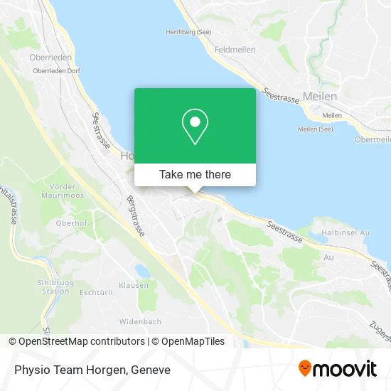 Physio Team Horgen map