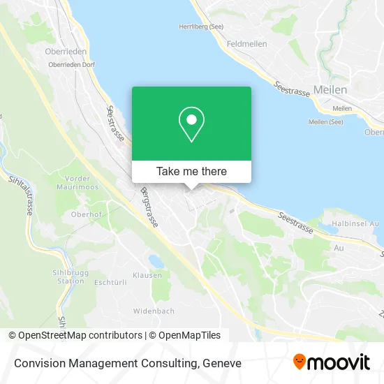 Convision Management Consulting plan