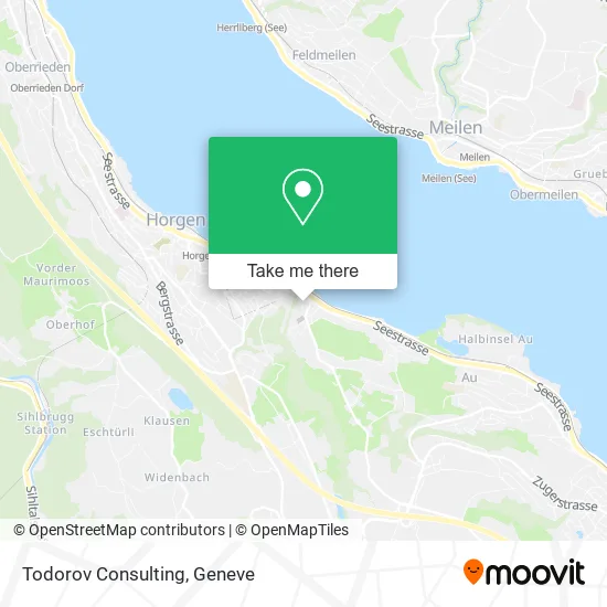 Todorov Consulting map
