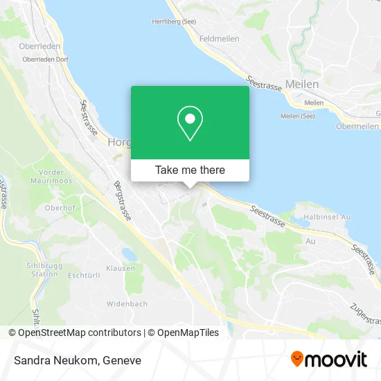 Sandra Neukom plan