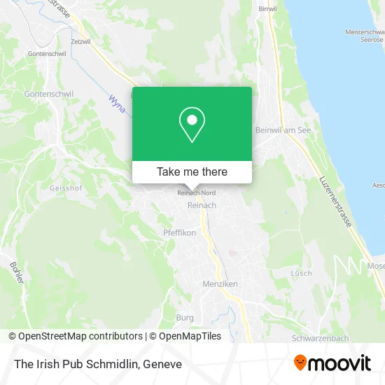 The Irish Pub Schmidlin map