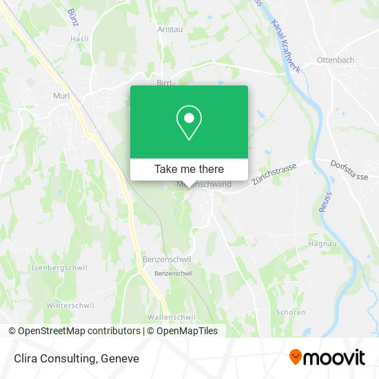 Clira Consulting plan