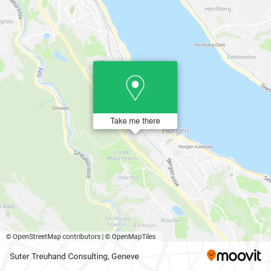 Suter Treuhand Consulting plan