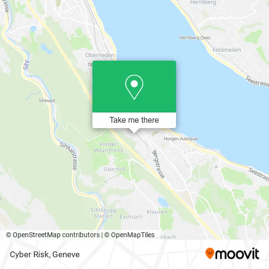 Cyber Risk map