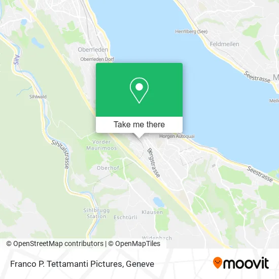 Franco P. Tettamanti Pictures map