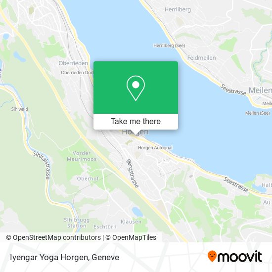 Iyengar Yoga Horgen map
