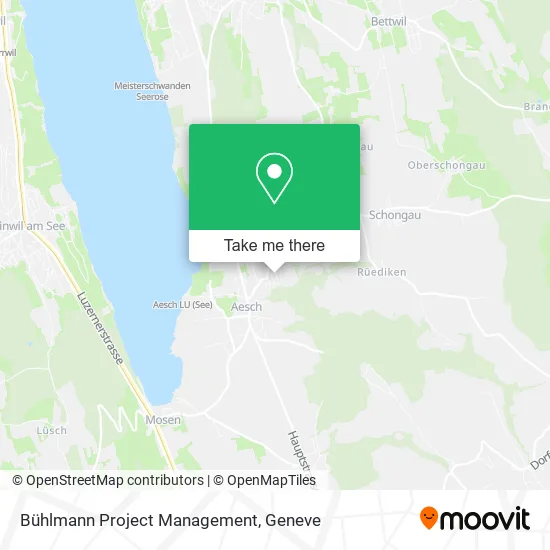 Bühlmann Project Management map