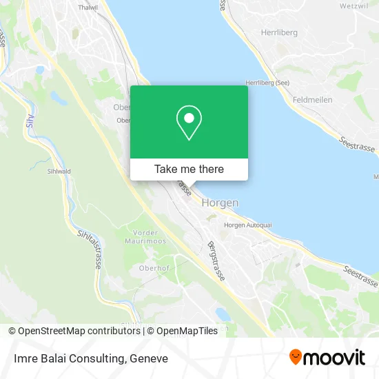 Imre Balai Consulting plan