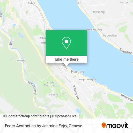 Feder Aesthetics by Jasmine Fejry map